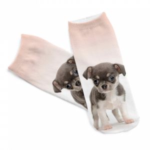 Ponožky  s motivem psa - čivava