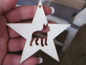 Dog in star
