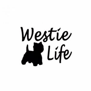 Car sticker- westie dog